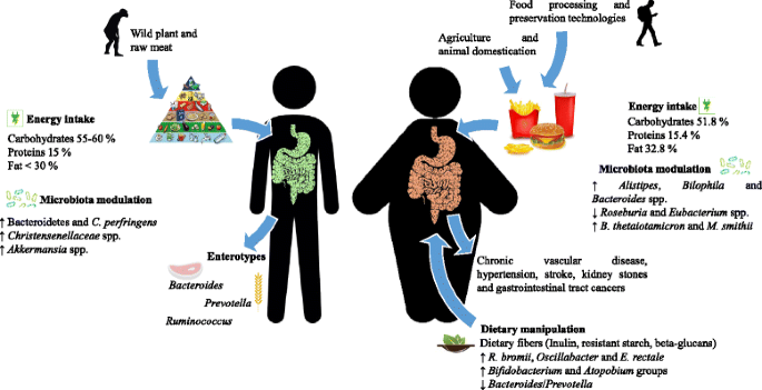 The Gut Microbiome and Obesity