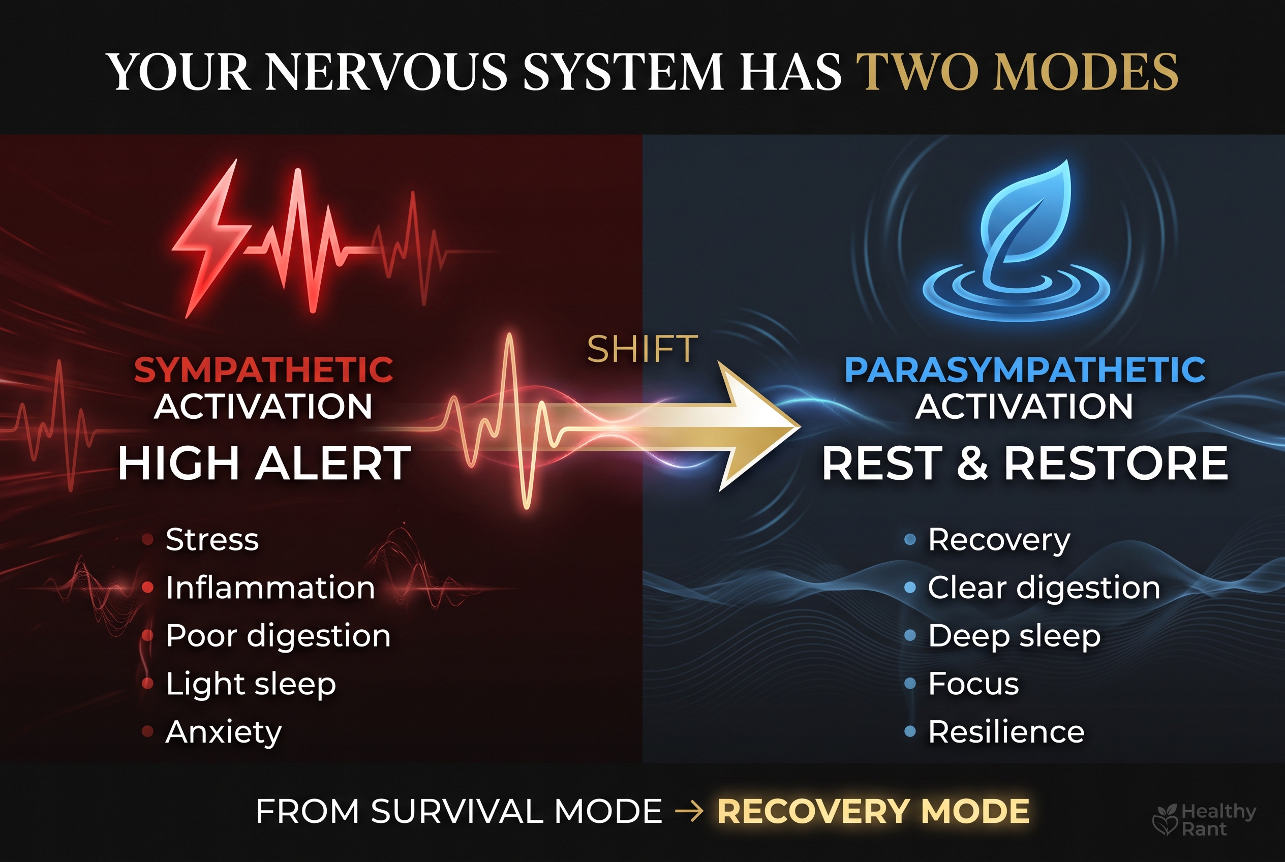 pillar-neurological-optimization-sympathetic-parasympathetic Nervous system comparison diagram: sympathetic activation (high alert, stress, inflammation, poor digestion, light sleep, anxiety) versus parasympathetic activation (rest and restore, recovery, clear digestion, deep sleep, focus, resilience)